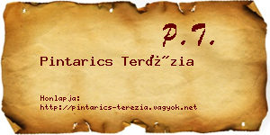 Pintarics Terézia névjegykártya